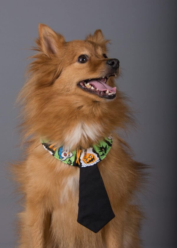 Cravate pour chien Littel terror – Image 3