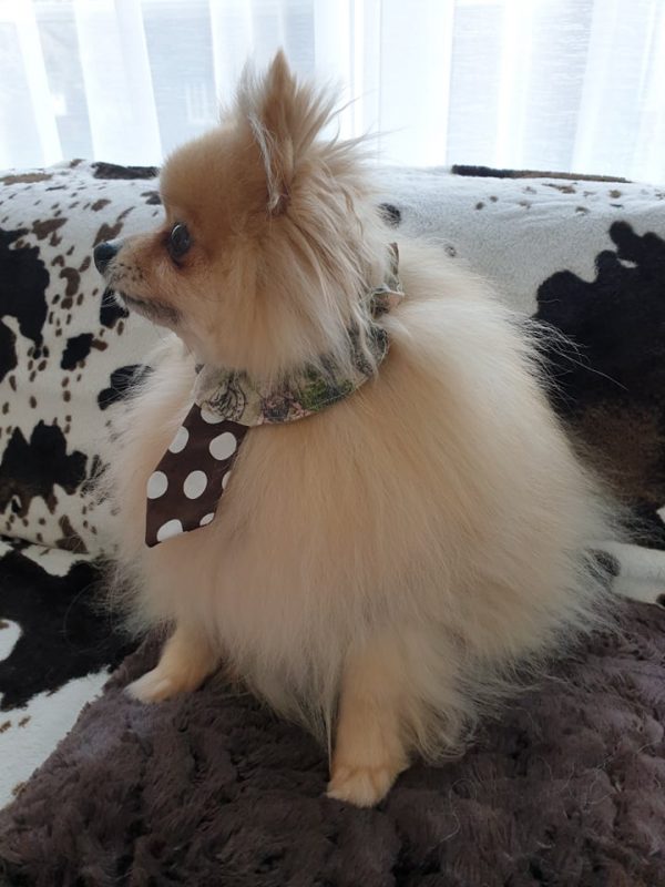 Cravate pour chien vieux magazines et pois bruns – Image 2