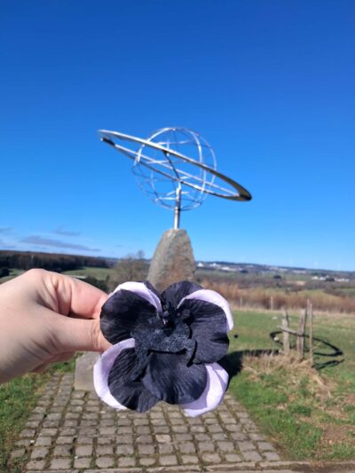 Pince à cheveux fleur noire et mauve cerf