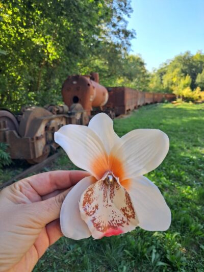 Pince à cheveux fleur orchidée beige et orange — Accessoire cheveux, fait main